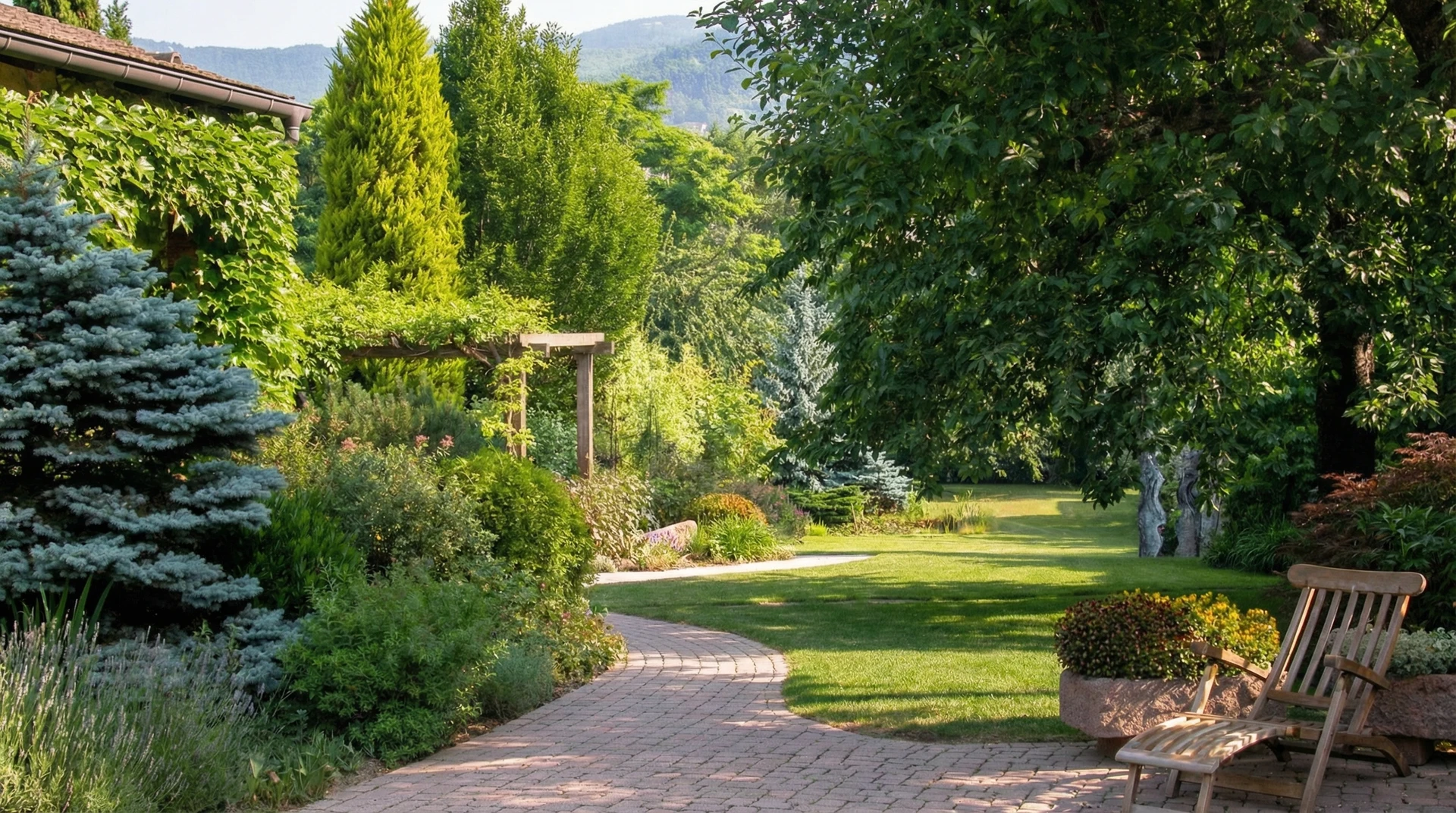 Vignoble en terrasses sur coteaux méditerranéens avec rangées de vignes alignées géométriquement